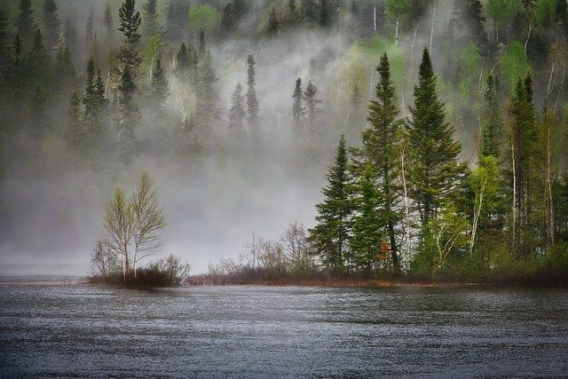 journee-mondiale-biodiversite