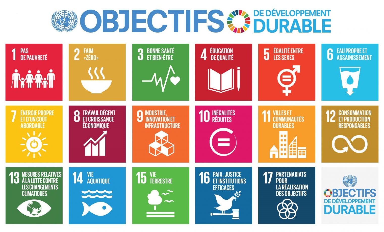 17 ODD publiés par l'ONU