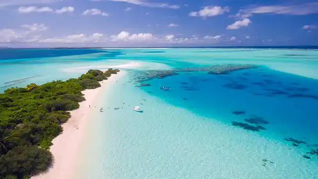 Journée mondiale des océans