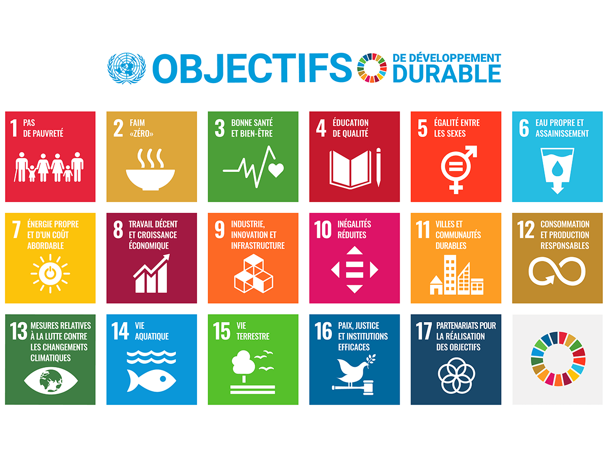 17 ODD publiés par l'ONU